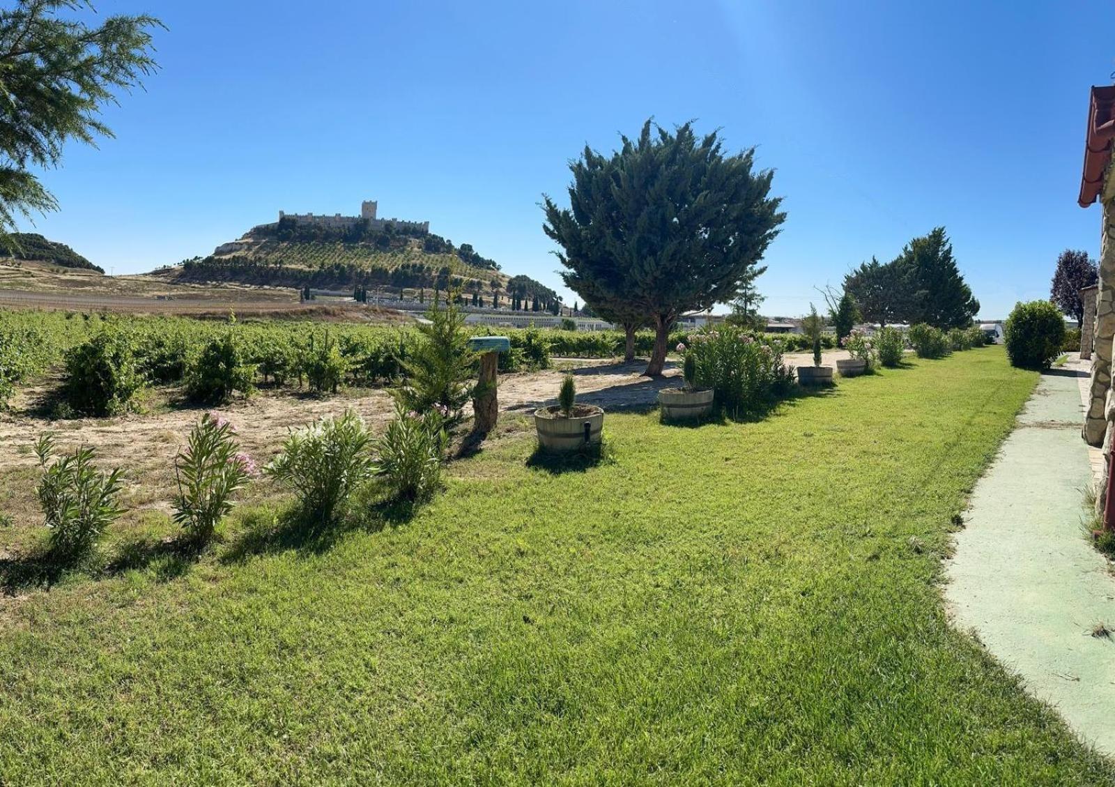 Finca Entrevinedos De Bodegas Marcos Peñafiel Екстериор снимка