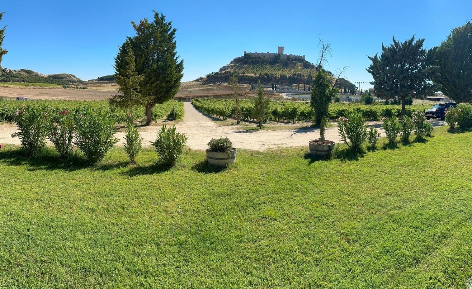 Finca Entrevinedos De Bodegas Marcos Peñafiel Екстериор снимка